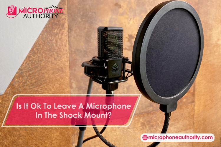 Is It Ok To Leave A Microphone In The Shock Mount